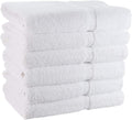 JENNY DENIAL 100% Cotton Super Soft & absorvent White Hand Towel | Face Towel | Wash Basin | Kitchen Towel | Spa | Saloon Small and Medium Size Combo Pack of