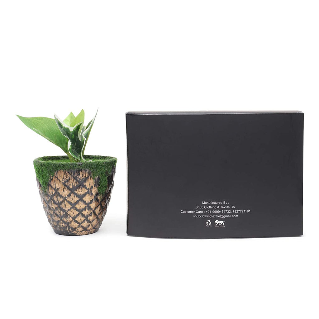 JENNY DENIAL men's 100% Cotton Big XXL SIZE Handkerchief/Rumal/Hanky for men(White, 50 x 50 cm) set of